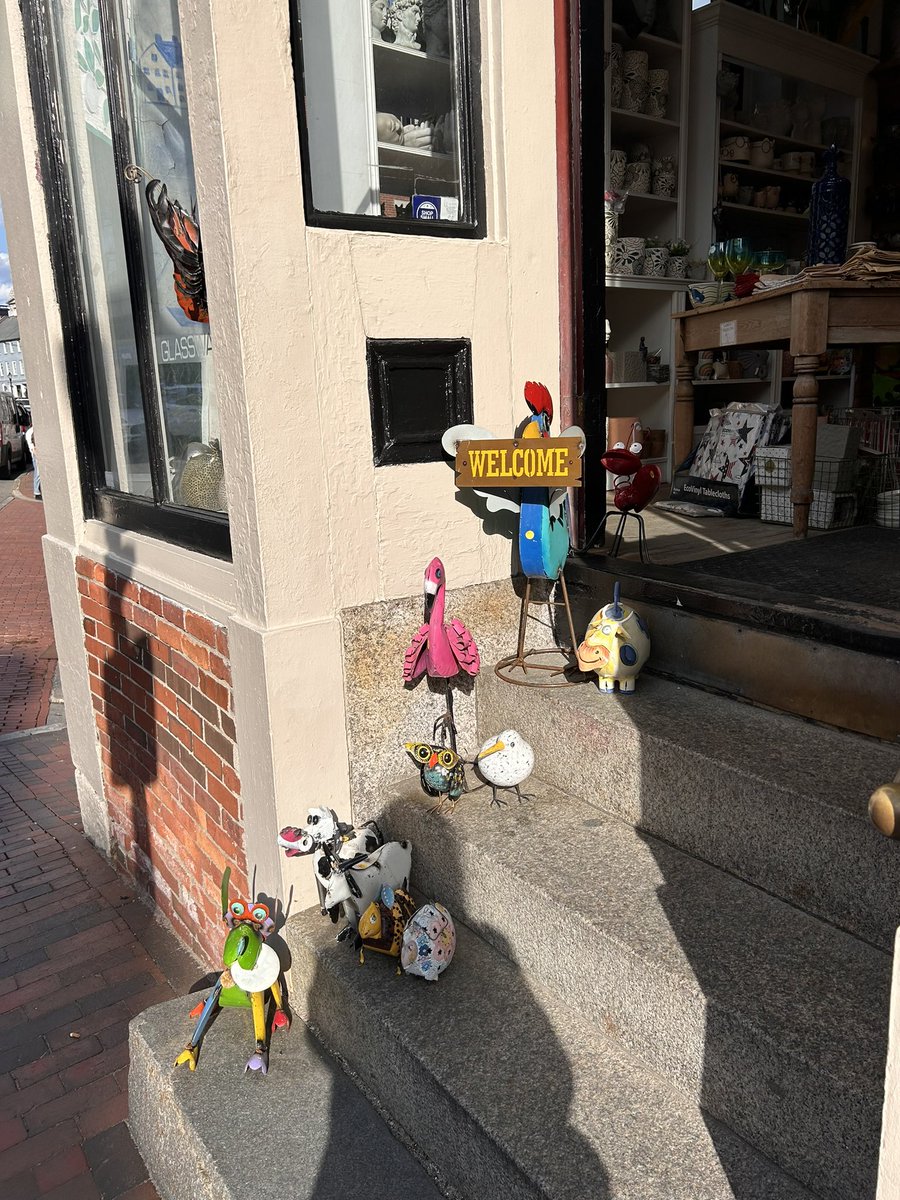 Phlamingolingo's tweet photo. Portland Maine speaks the lingo #phlamingophound https://t.co/Vj5e4XAxk8