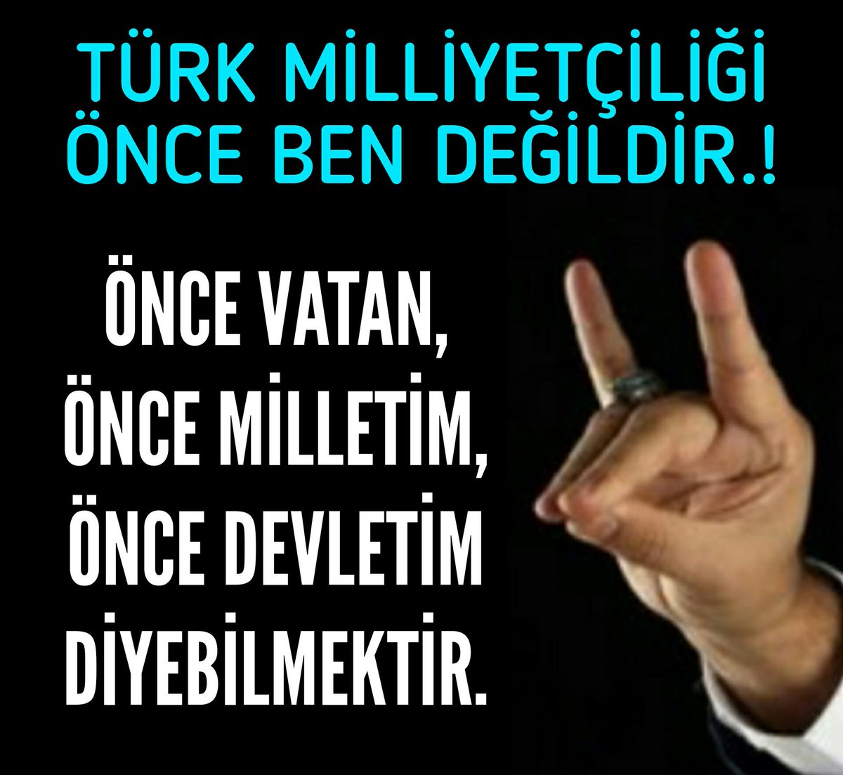 TÜRK MİLLİYETÇİLİĞİ