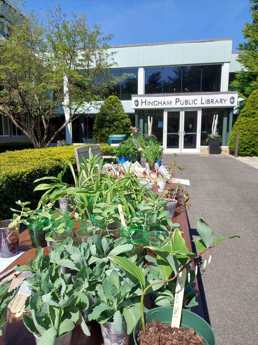 Hingham Library tweet media