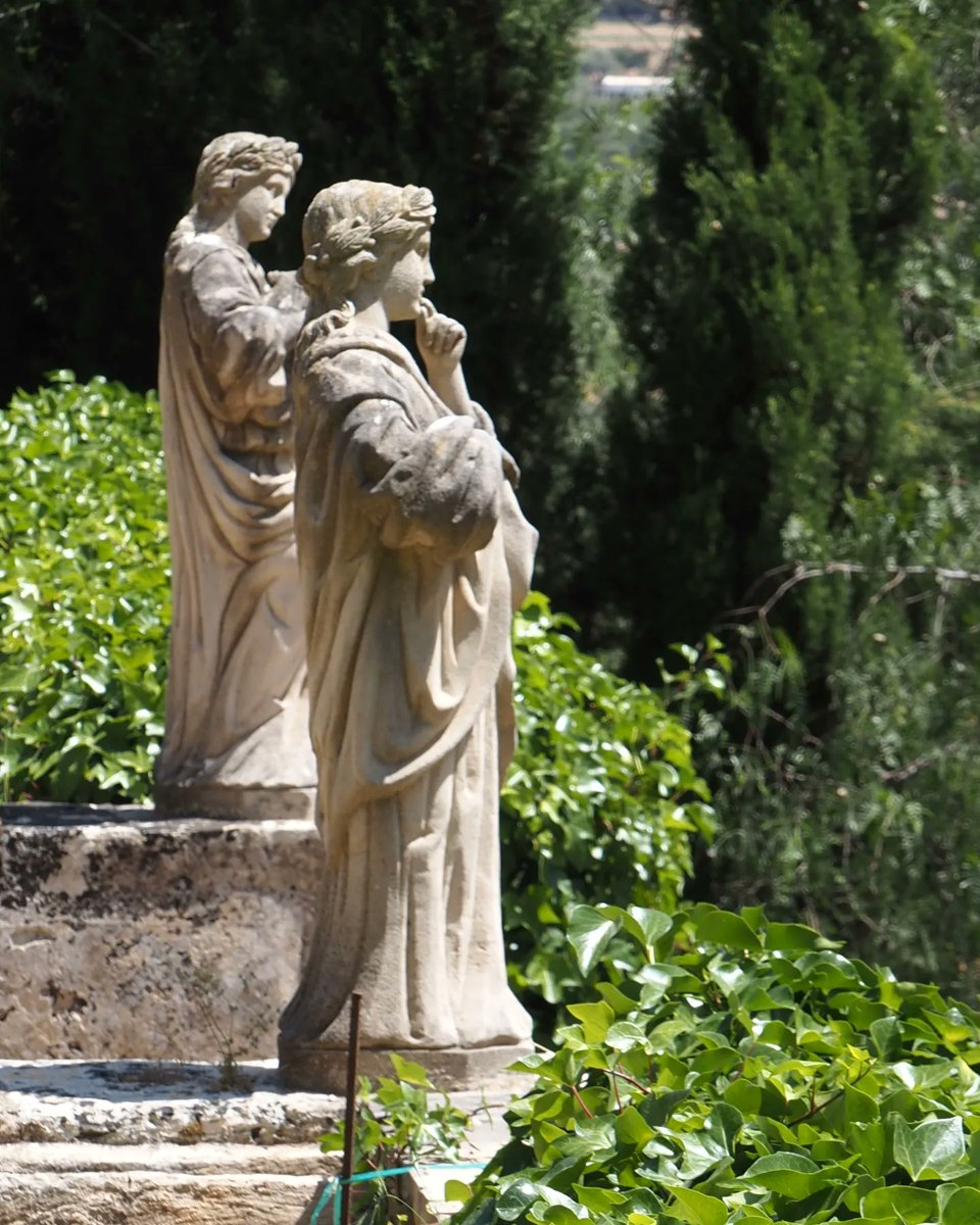 Francisca Tugores tweet media