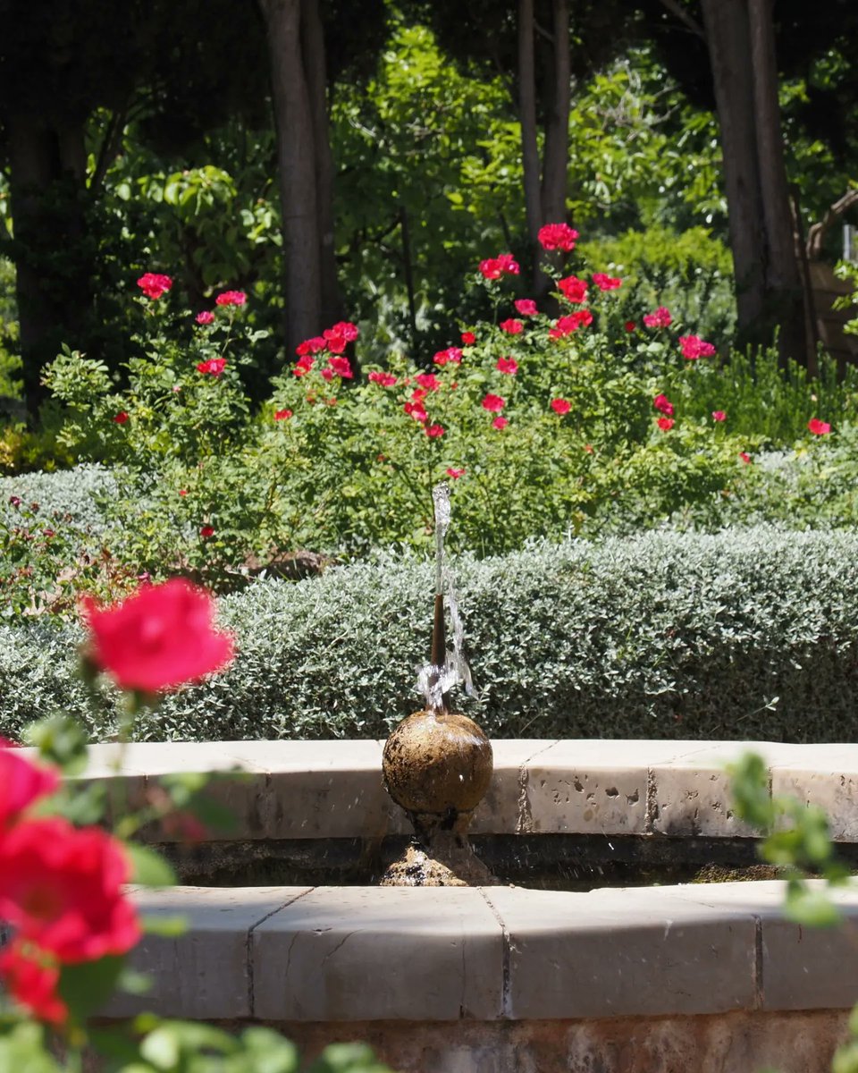 Francisca Tugores tweet media