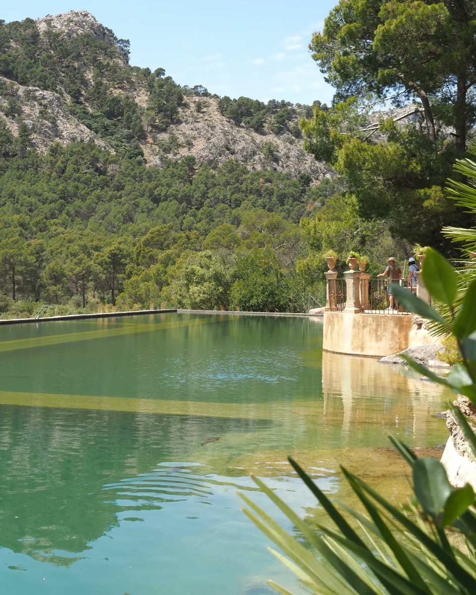 Francisca Tugores tweet media