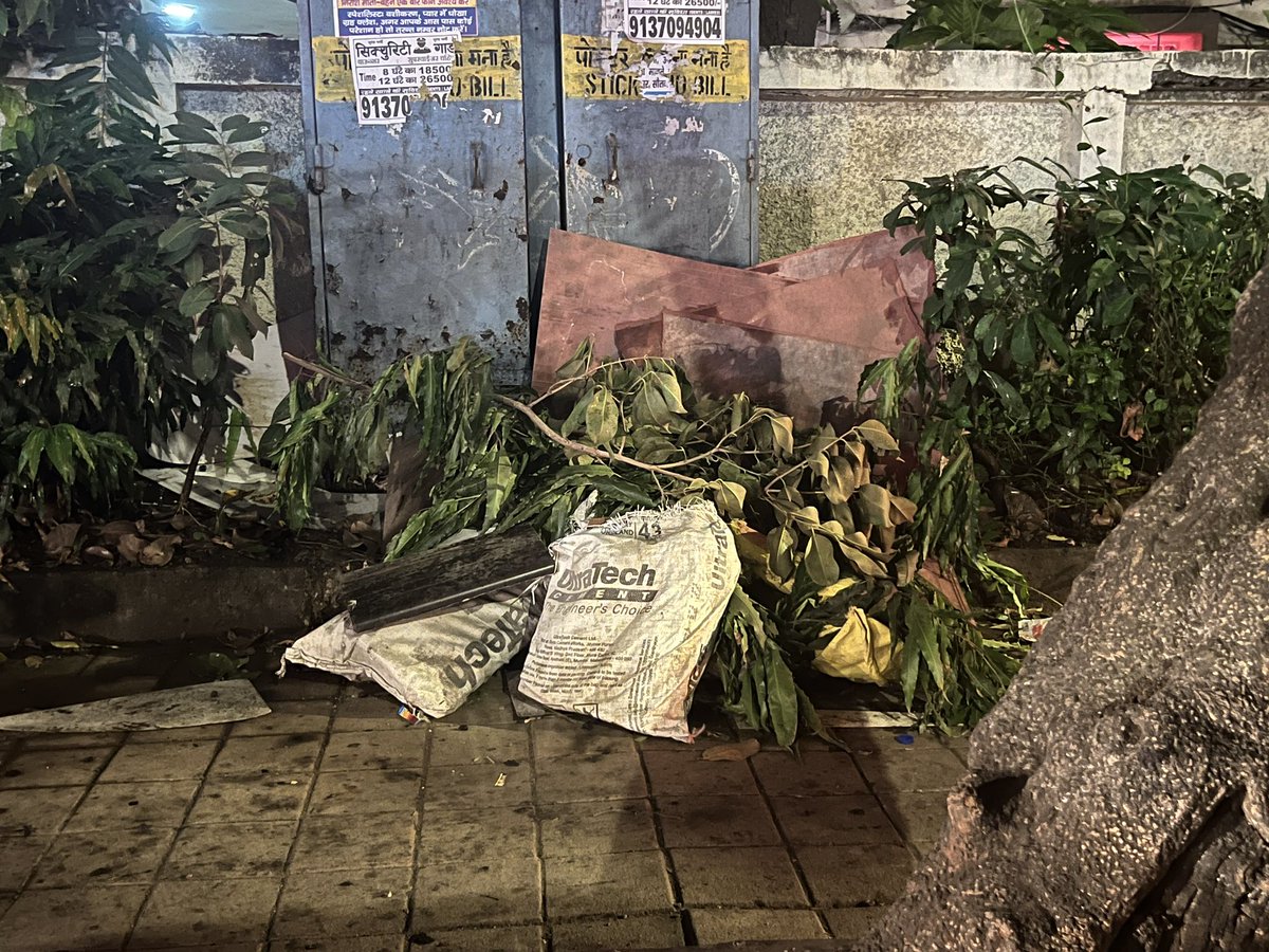 Dead plants at Turner road near Kotak Bank <a href="/mybmcWardHW/">Ward HW BMC</a> <a href="/bandrainfo/">Bandra.info</a> <a href="/Asif_Zakaria/">Asif Zakaria</a> <a href="/bandrabuzz/">Bandra Buzz</a>