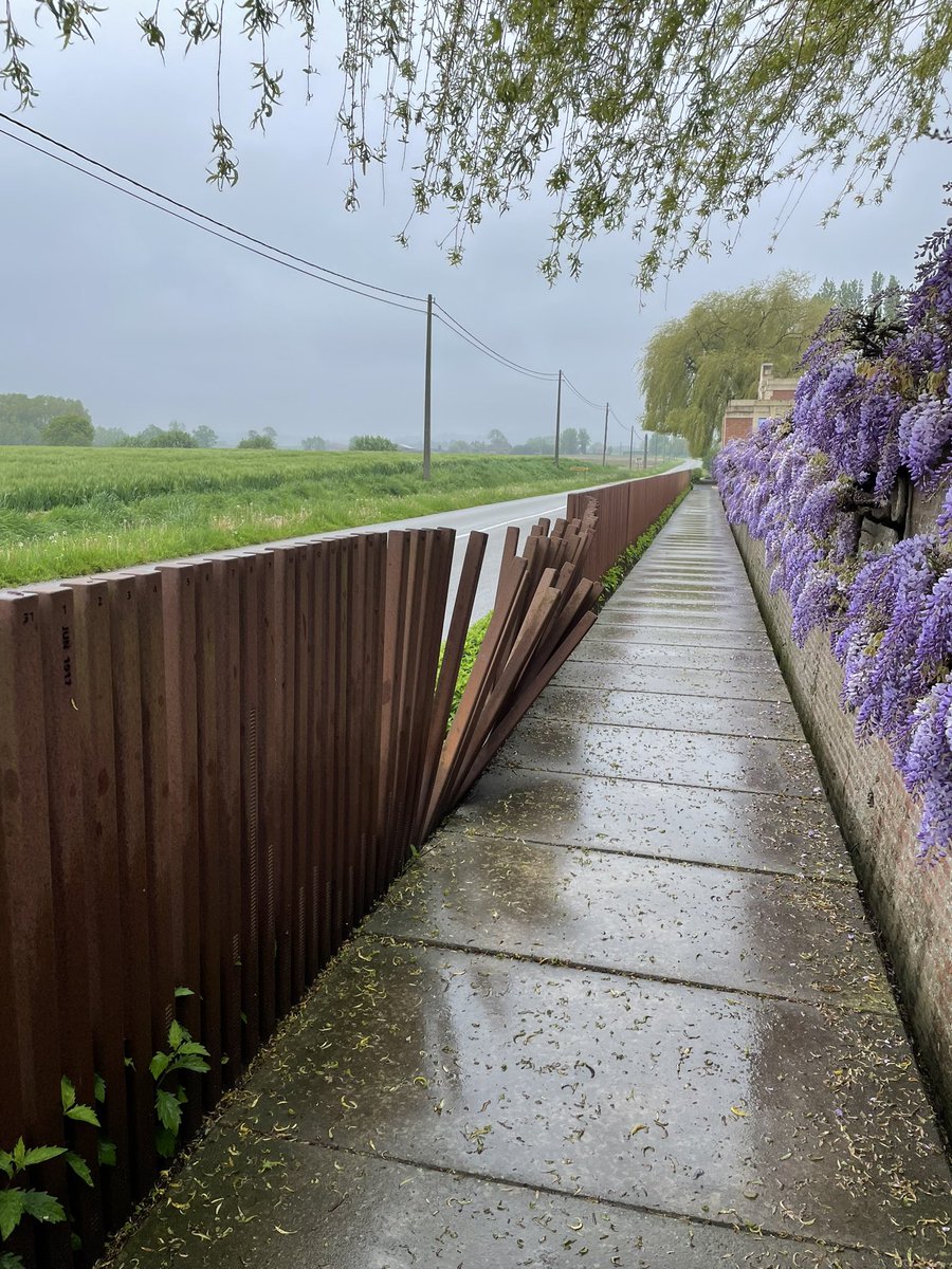 Eugenie Brooks 🇺🇦 🇬🇧 tweet media