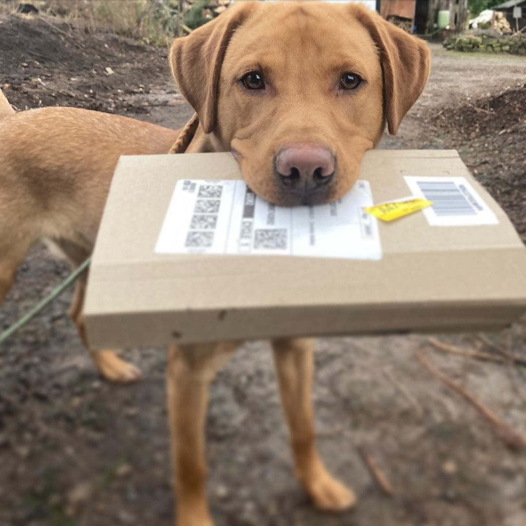 Amazon.co.uk tweet media