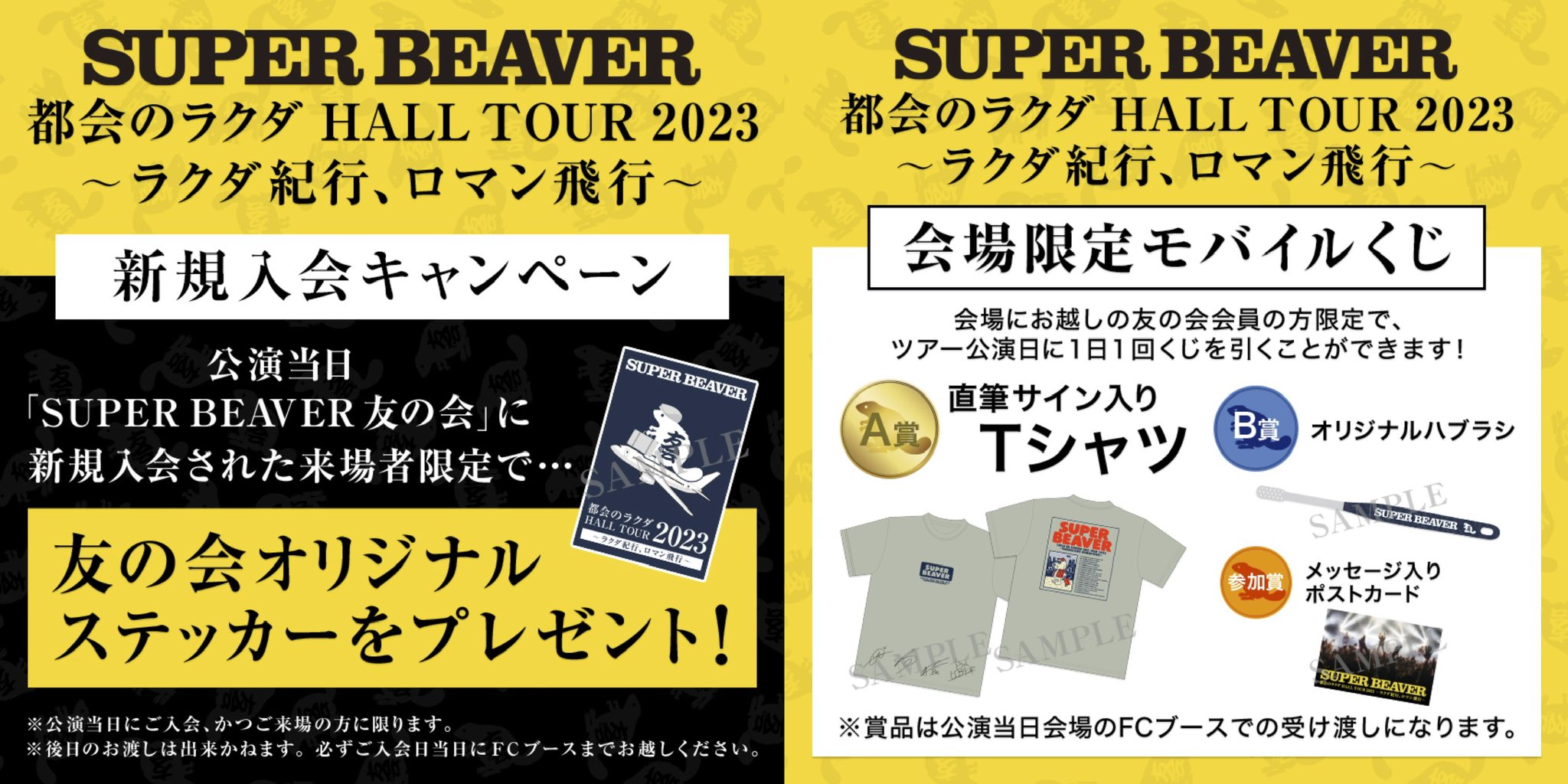SUPER BEAVER on X: 
