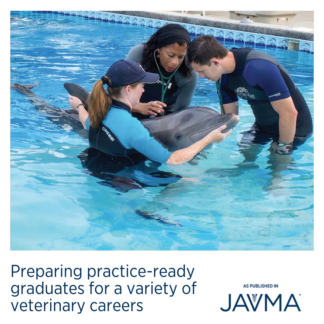 AVMAJAVMA's tweet photo. Today is Spotlight Saturday! ✨🐬 Learn how @msstate_vetmed is preparing practice-ready graduates for a variety of veterinary careers: https://t.co/tg4N0fD4Pq #vetstudent #vetmed #vetschool https://t.co/Atce34HbC5