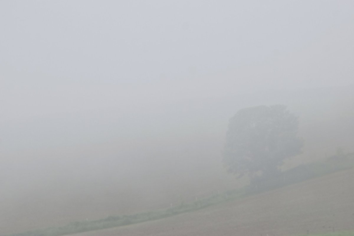 Misty, newtownmountkennedy #vmweather #ThePhotoHour #Saturday morning #wicklow #Ireland.