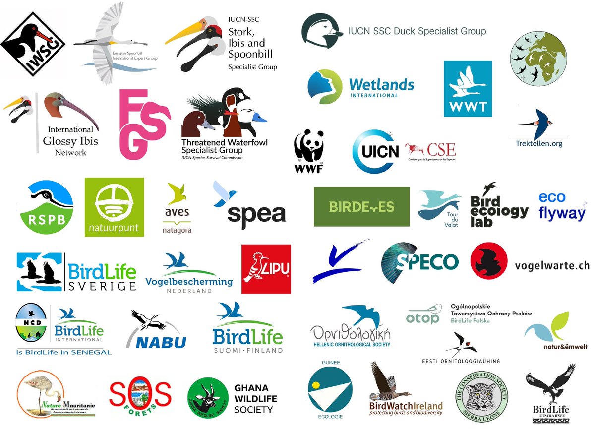 38 organizations sign the oppen letter supporting the request to classify Doñana as @worldheritage site IN DANGER!

#fromWetland2Dryland

@SalvemosDonana @fdonana21 @DONANA_SEO @BirdLife_Sci
@RamsarConv @WorldHeritages @IUCN @BonnConvention @unep_aewa @unescowhc @unescoWATER