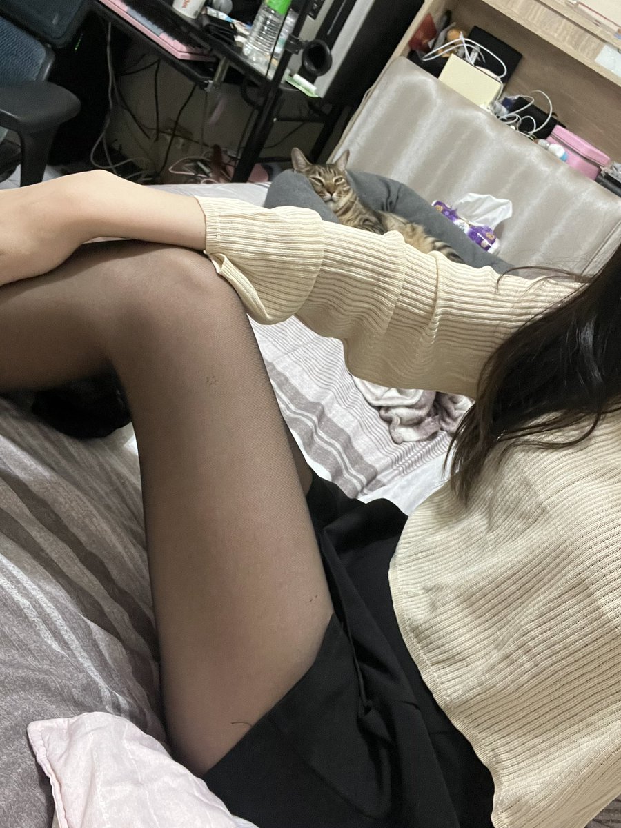Colalin21's tweet photo. 貓 https://t.co/kAgQ5aUChq