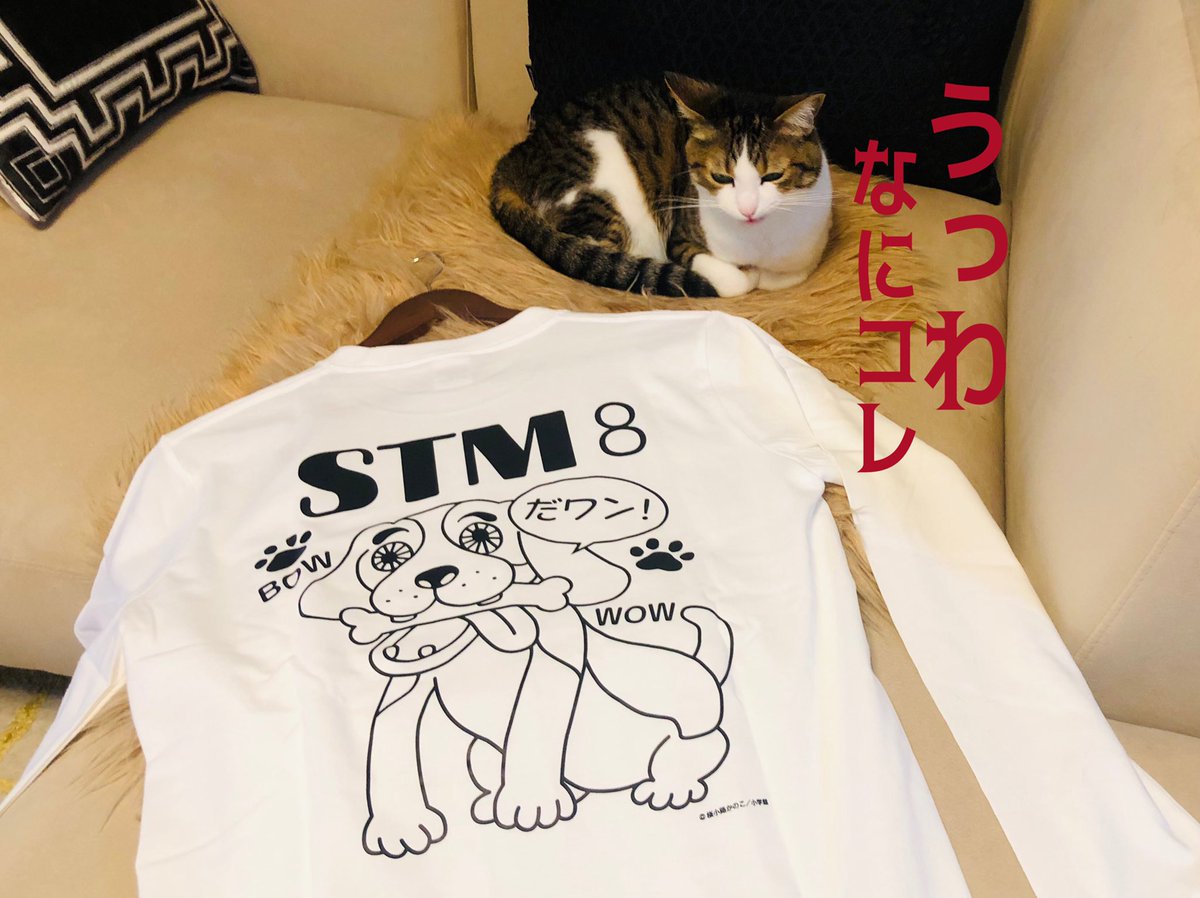 『 8!』第1部完結記念ということでベツコミ誌上にてプレゼント企画があります🎁
作中に出てくる公式グッズを作ってくださったのですが
いらね〜〜〜!🤣
アクスタはともかく、Tシャツ!!
呪物!!!
多分応募したら当たると思います競合者いなさすぎて