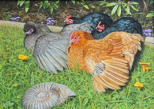 cjonesart's tweet photo. It’s been a long time since I posted anything poultry based. With bird flu stopping the big shows in recent years I have had to turn to other subjects and shows, hence my orchid paintings. I am still doing the odd poultry and wildlife painting to commiss… https://t.co/YkM3sJa33r https://t.co/2g0ZZPKyd9