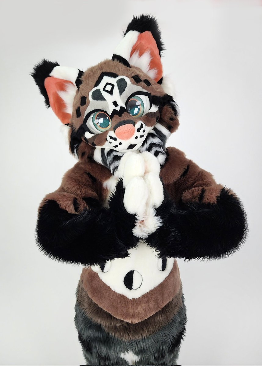 JellyDog tweet media