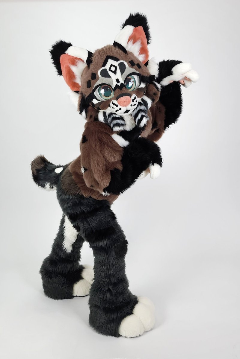 JellyDog tweet media