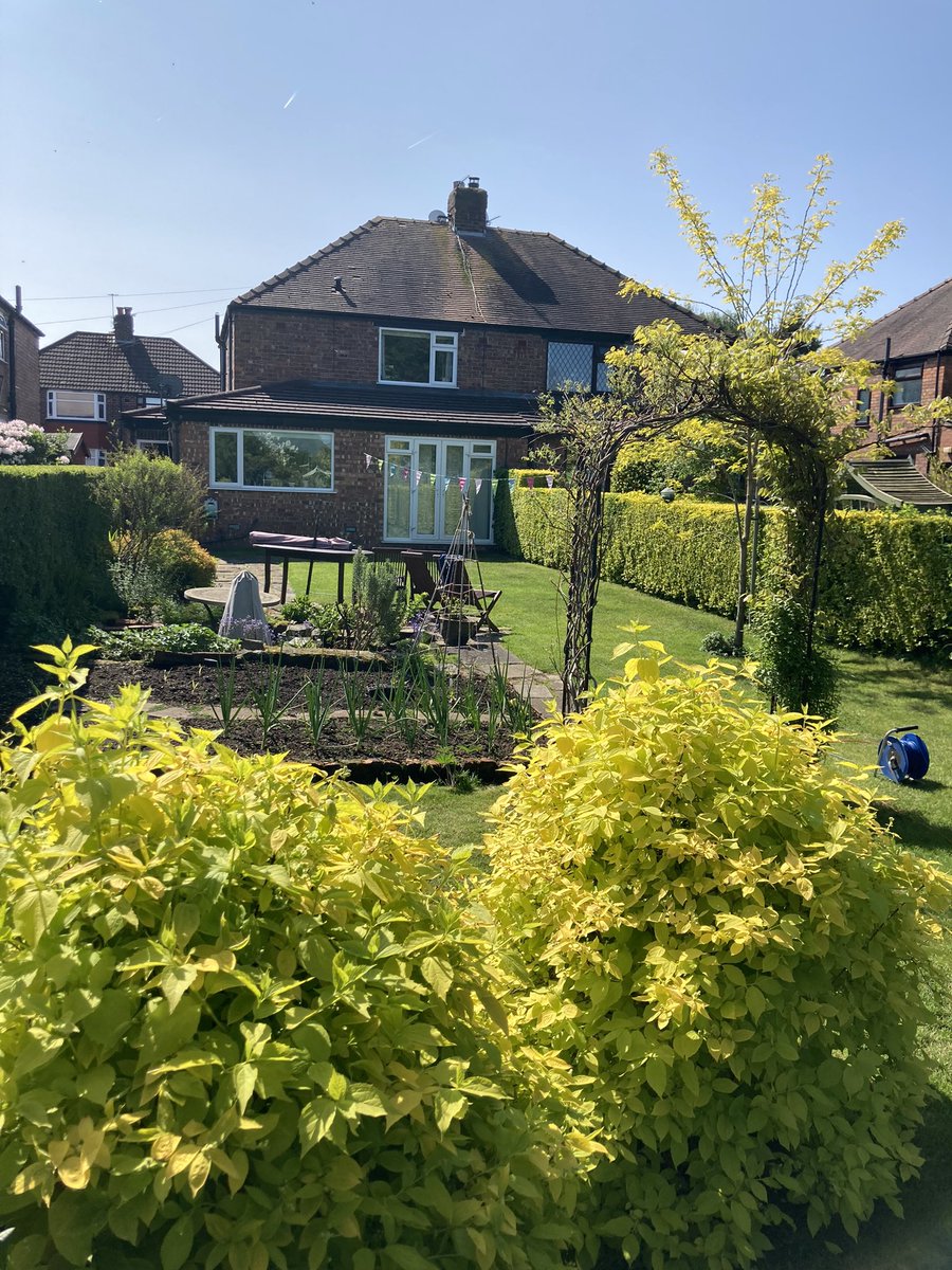 Stuart4Lees's tweet photo. #Eurovision Party preparations In process. #Eurovision2023 #Garden #OutdoorLiving #SummersClose. ๐๐ป๐ฅ https://t.co/4Tc1GrUu3s