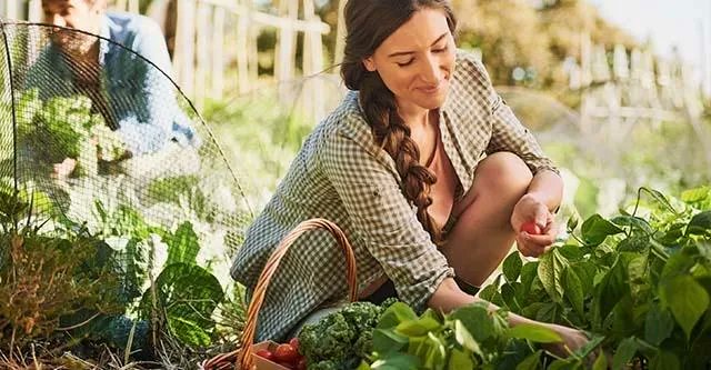 wonenonline's tweet photo. Dรฉ gelukstip van de dag: met de handen in de modder!
Intratuin deed onlangs een oproep om de tuin in te gaan, niet omdat zij dan meer bloemen en planten gingen verkopen. Nee, dit zou ons namelijk gelukkig maken. https://t.co/zSNqSTrJ4v #tuintrends #tuinieren #bloemen #planten https://t.co/Ds5ZuHJzxO