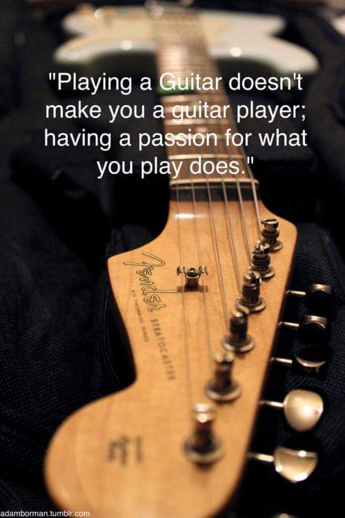 lisa matthews tweet media