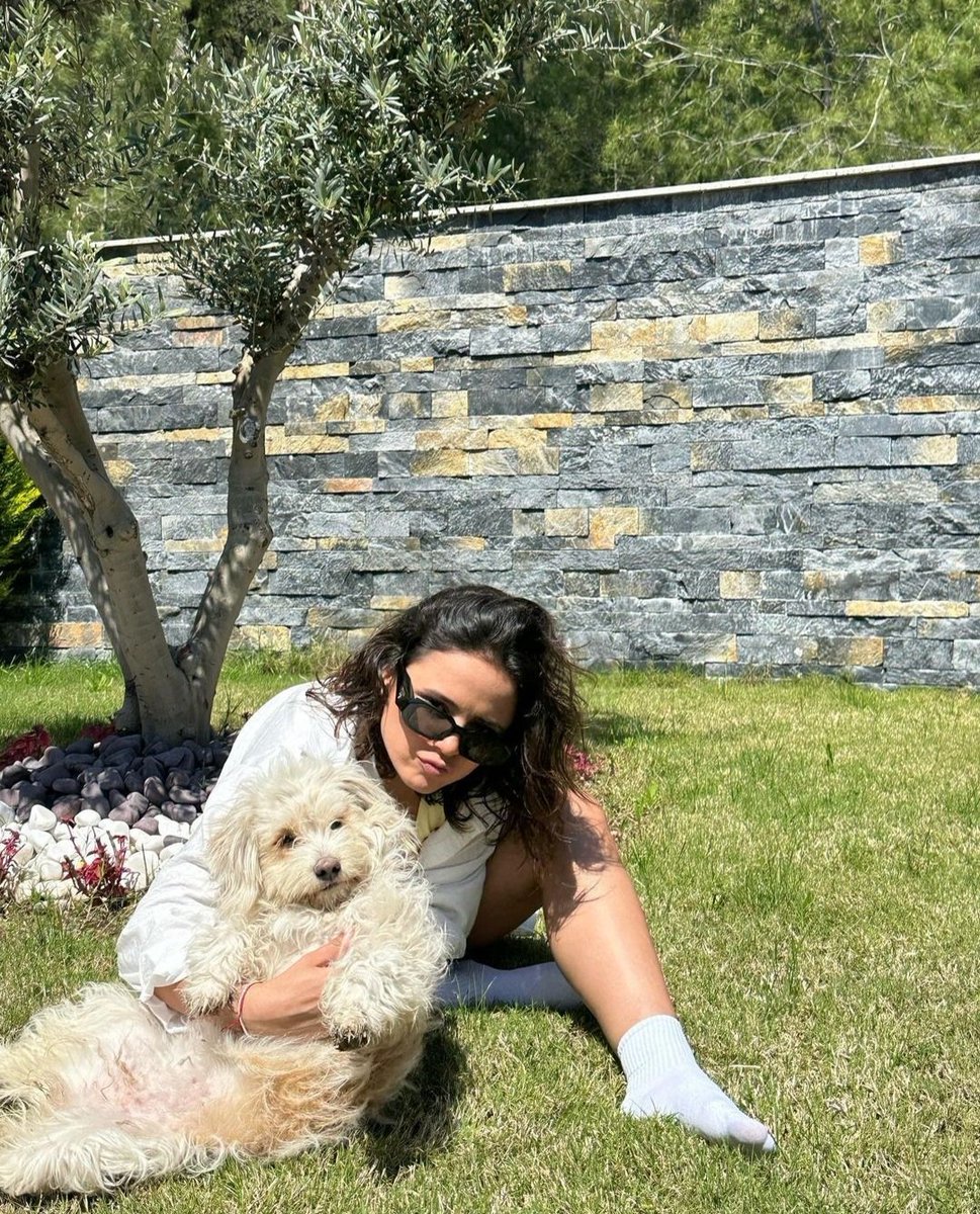 Fatma Özdinç

t.me/+efdc2NYS9R84Y…