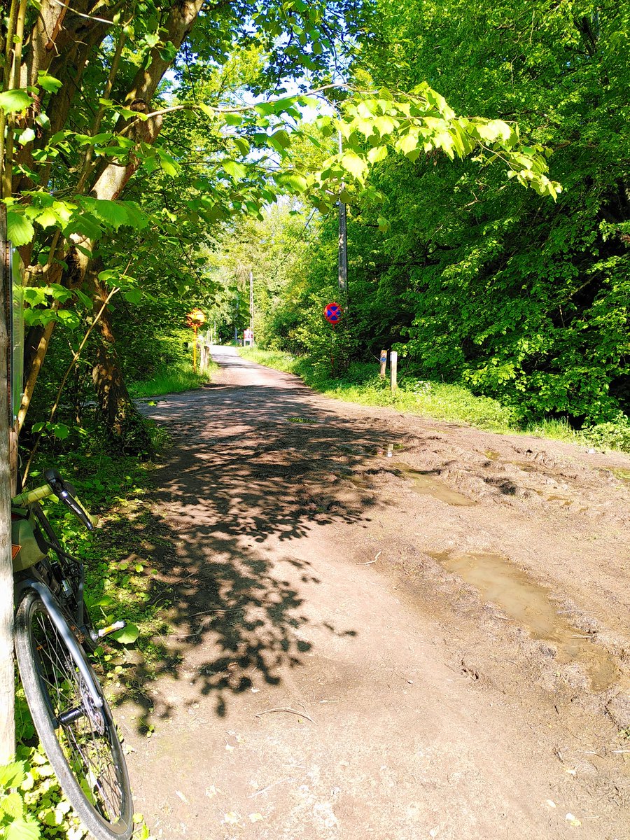 La nomade sédentaire tweet media