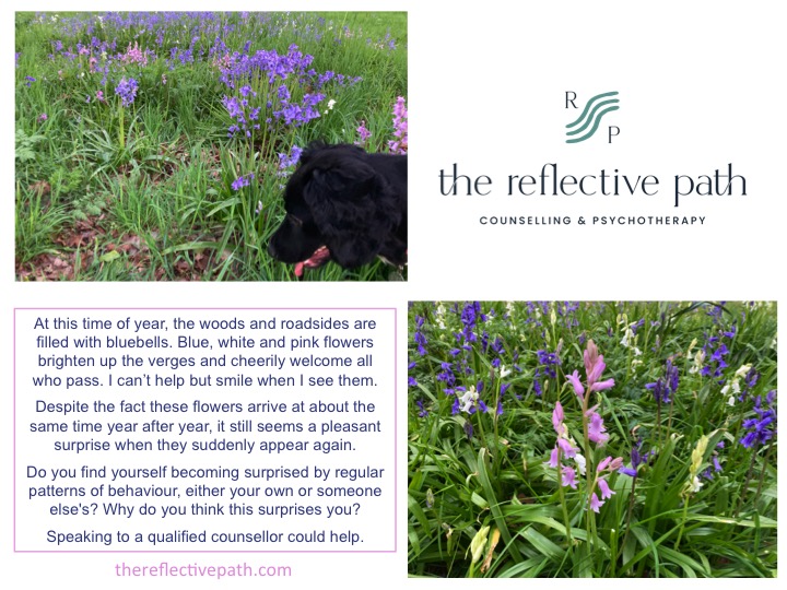 ReflectivePath's tweet image. Do you find repeated patterns surprising? #counselling #counseling #psychotherapy #surprise #patterns #DogsofTwittter #bluebells #talkingcanhelp #mentalhealth  thereflectivepath.com