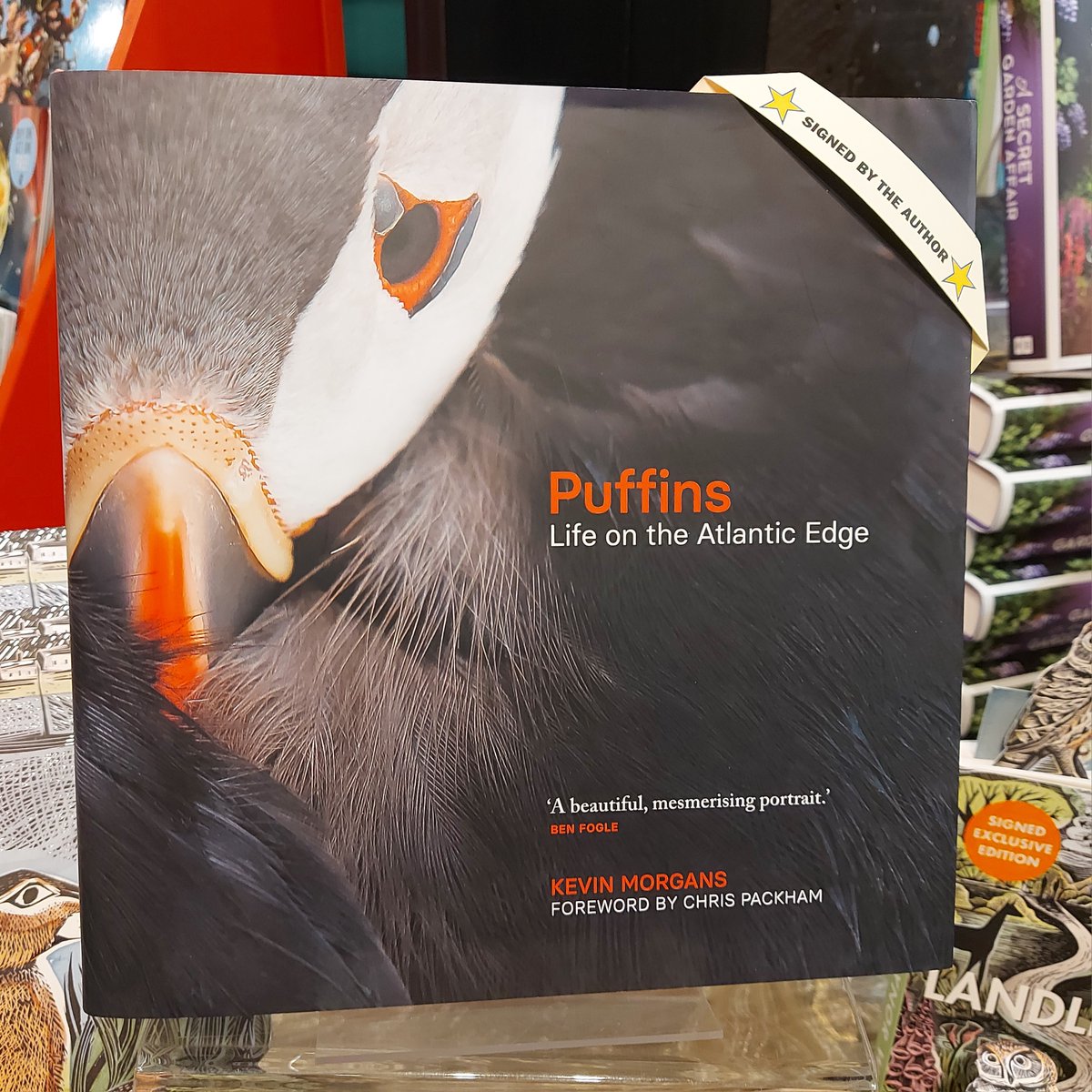 LinghamsBooks's tweet photo. Absolutely stunning book about the clowns of the sea. Who doesn't love puffins? We got to meet @KevMorgans today a local lad and he signed his book! Sorry my photography is not up to your standard Kev it was wonderful to meet you! https://t.co/yosSipzbTS https://t.co/IibylaLRqa