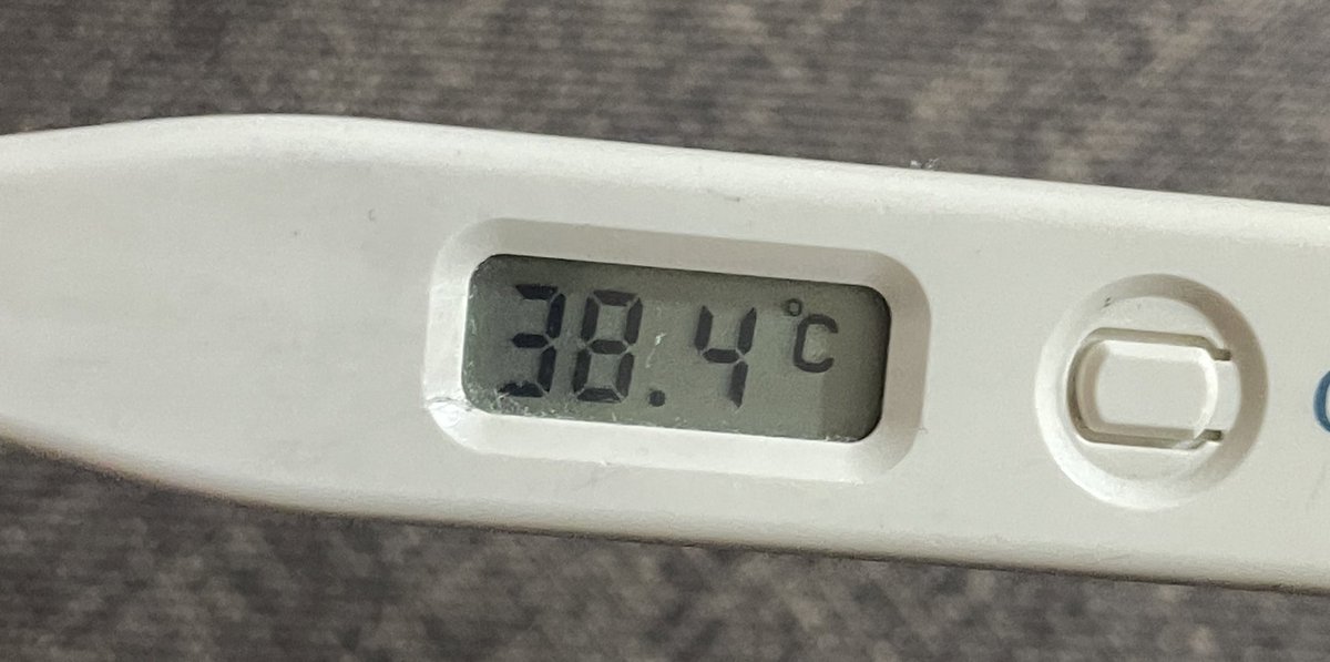 泣けるテストまで1週間切ってるし英検の勉強もしなきゃだしやることいっぱいなのに😭今週精神的にやられたせいかねー