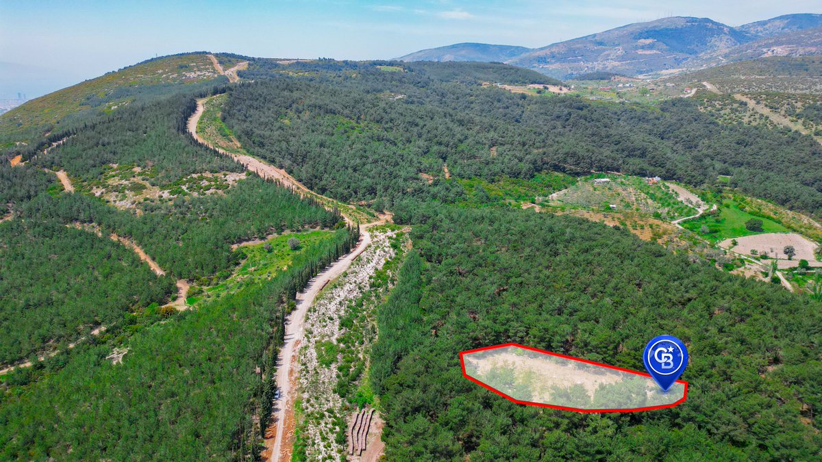 AltayALTAY2's tweet photo. Hayalimizdeki Doğal Yaşam alanı Fırsatı 

İzmir Bornova Karaçam , (Çiçekli köy)
Bölgesinde Bulunan Bu arazimiz 
Elektrik ve Su yu mevcut 

3300m2 

Detaylı Bilgi için iletişime Geçiniz 

0532 203 05 07 https://t.co/FpyQRw6cfJ