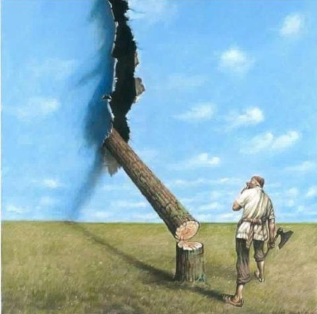 Allumons nos cerveaux !
🤔🙆‍♀️❌😭
#ClimateActionNow
#Climat 
#Arbre #Changement_Climatiques #Environnement