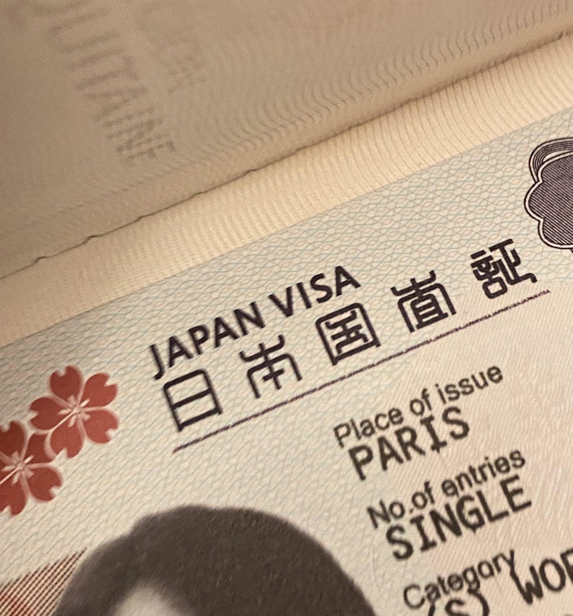 ビザゲットだぜ？