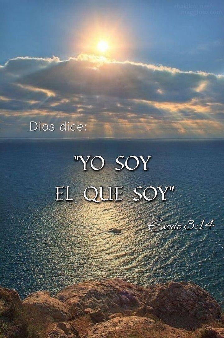 #DiplomaciaUniónYCrecimiento

Dios no miente y su palabra se cumple conforme a su voluntad.

Un corazón soberbio piensa a su manera pero si tú le crees a Él, vers Su gloria 🙏🕊️