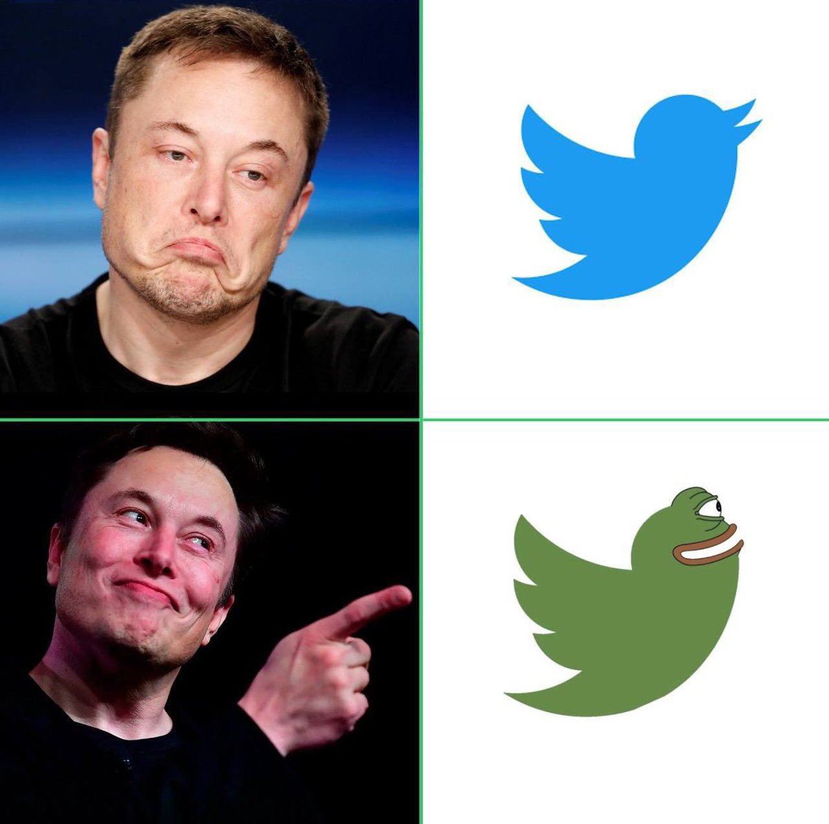 911Corp's tweet photo. « Change the logo before handover ? »

@elonmusk right now. $Pepe 🐸 https://t.co/EiKuxeVU1Q