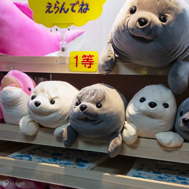 新江ノ島水族館 on X: 