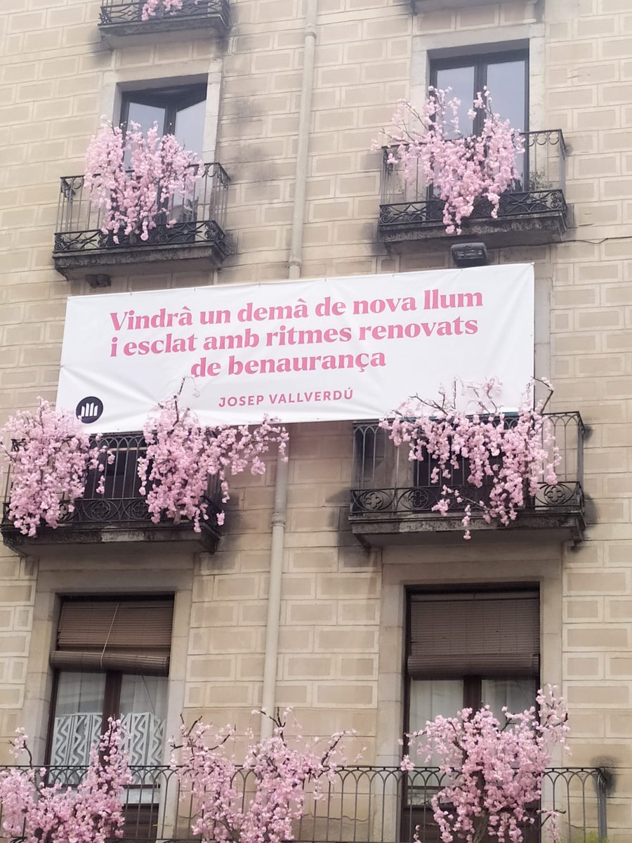 iogaeducacio's tweet photo. Girona temps de flors i un desig esperançador...!!

#gironstempsdeflors #esperança #llum #esclat #desig #JosepVallverdú https://t.co/zDrVF0T99x