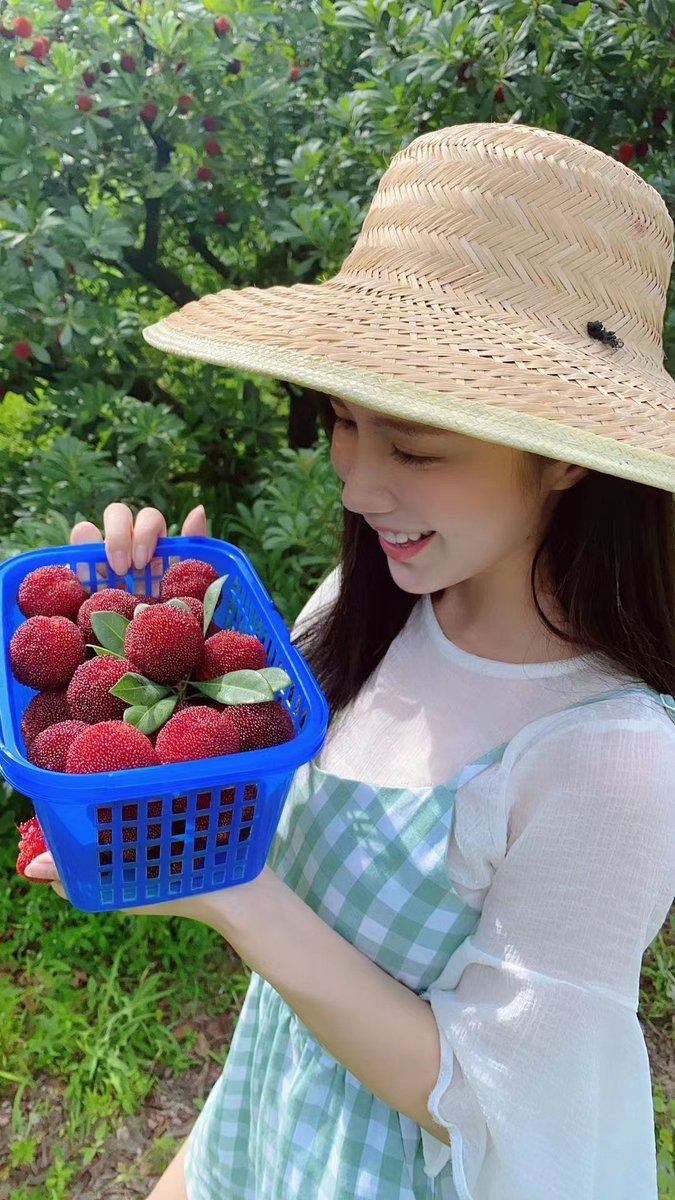 中国浙江臨海市でヤマモモが成熟したので、ぜひ食べに来てください。Welcome to China to taste red bayberry. 浙江临海东魁杨梅成熟了，欢迎哥哥姐姐来品尝。 https://t.co/lsV4GIF36H