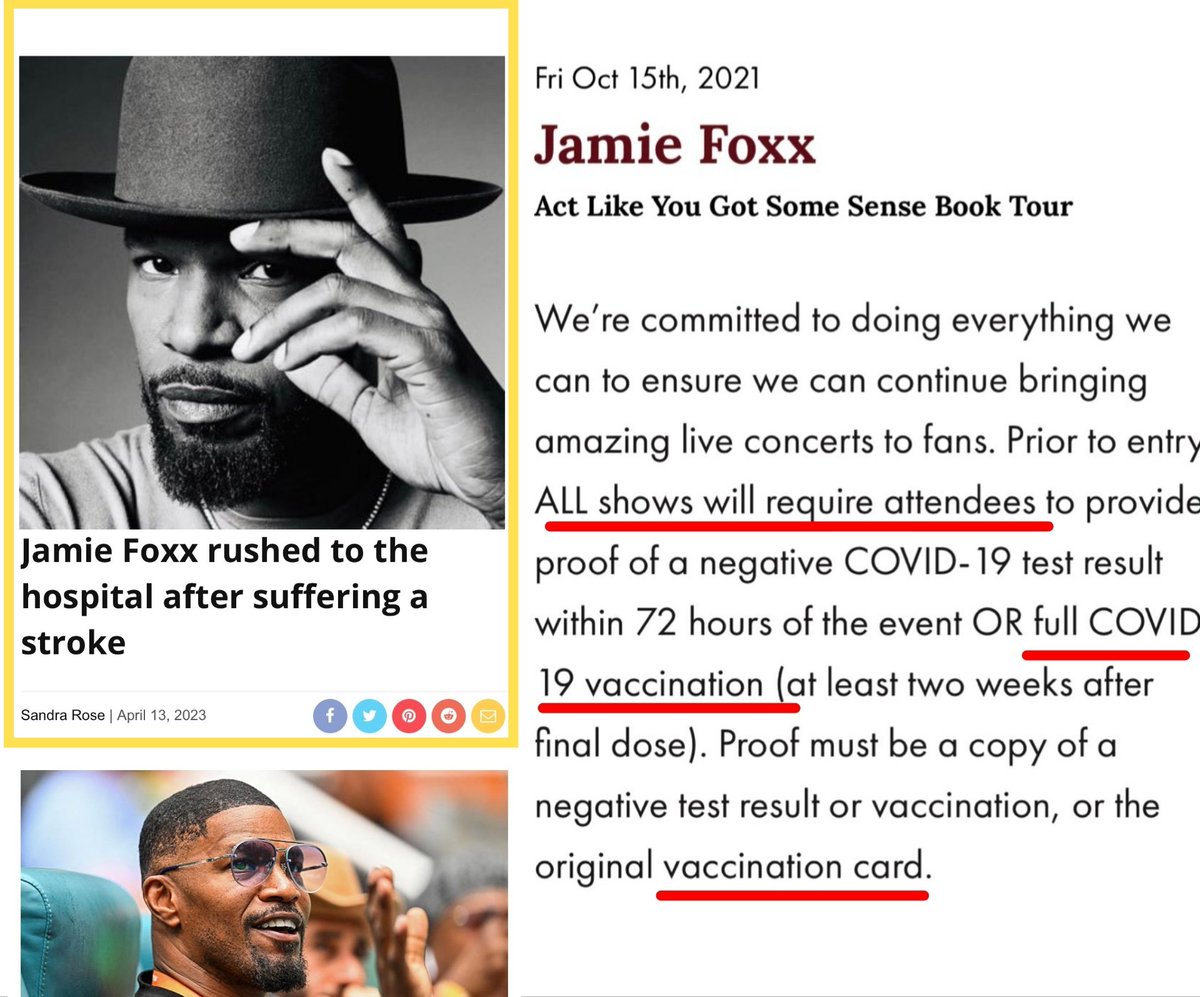 Catwalker tweet media