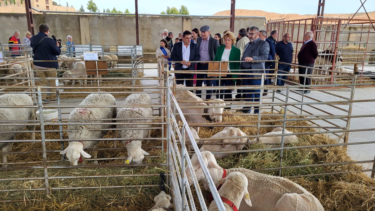 GobAragon's tweet photo. 🐄🧀La consejera @marivibroto ha visitado la Feria Ganadera, Artesana y Alimentaria de #SamperDeCalanda, que tiene lugar en vísperas de las fiestas de Santa Quiteria

🗣️ "Esta feria demuestra que el mundo rural apuesta por el emprendimiento y la innovación para asentar población" https://t.co/QsvfzLYX4Q