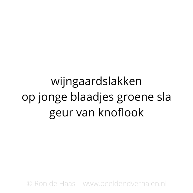 BeeldendVerhal1's tweet photo. #beeldendverhalen #slakken #sla #haiku #俳句 #ロン #川柳 https://t.co/yCrdly1uY2