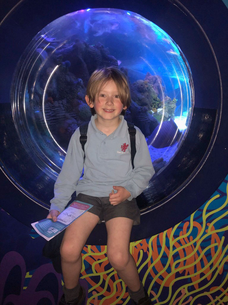 Sherborneprep's tweet photo. Reception had a whale of a time at the SeaLife Centre on Thursday! 

Find out more about joining #SherbornePrep at our next #OpenMorning on Tuesday, 6 June - https://t.co/XtYoUJw7Ig

#dorsetprepschool #spspreprep https://t.co/P13tY8oLgc