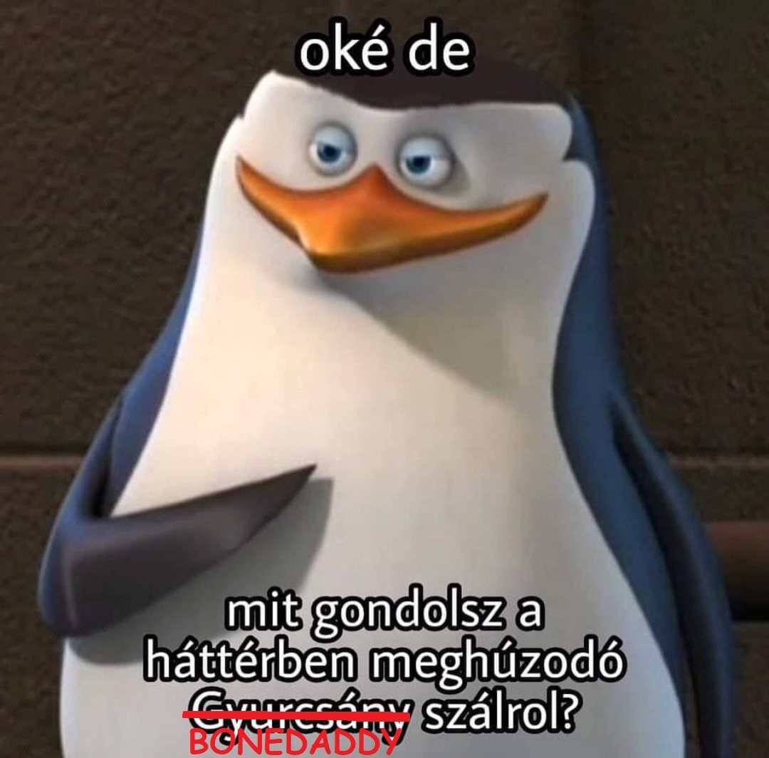 Mindenki posztolgatja a tippjeit és úgy tesz, mintha nem látta volna a scriptet, tudjuk hogy a WiLD fogja nyerni a szezont, Daddy megvette az egészet🥚