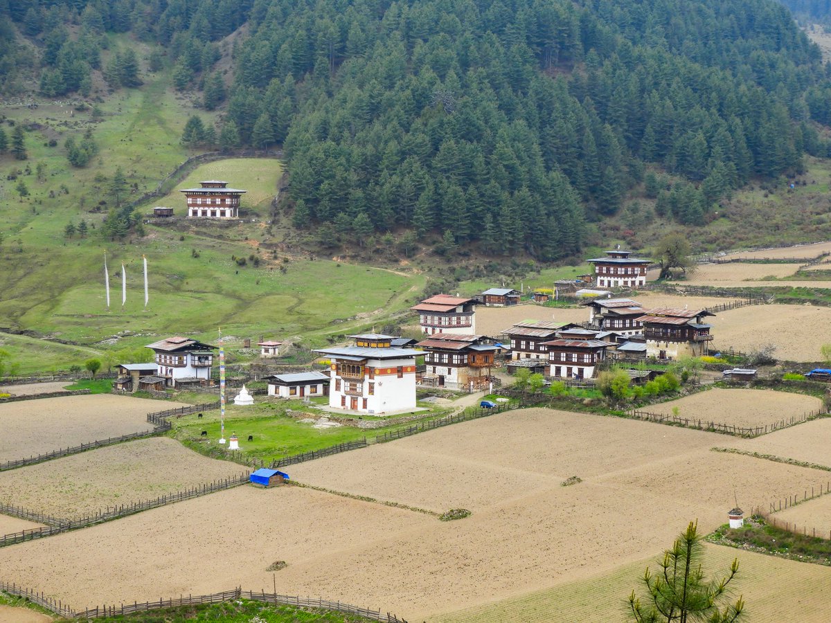 inside_bhutan's tweet photo. The Land of Happiness 💚
.
.
.
.
#phobjikha #wangdi #bhutan https://t.co/8ovvfNaZHZ
