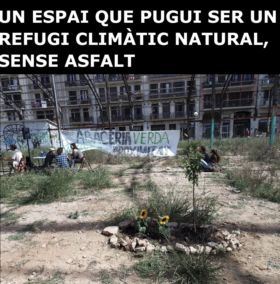 #AbaceriaRespira (@aabaceria) on Twitter photo <a href="/RoserLatorre/">Roser Latorre</a> @TriasperBCN <a href="/xaviertrias/">Xavier Trias</a> La concessió de verd del #macroprojecte que recolzeu són 8 arbres després de la demanda de les veïnes. #EmergènciaClimàtica #refugiclimatic #verd #salut <a href="/RoserLatorre/">Roser Latorre</a> @TriasperBCN <a href="/xaviertrias/">Xavier Trias</a> La concessió de verd del #macroprojecte que recolzeu són 8 arbres després de la demanda de les veïnes. #EmergènciaClimàtica #refugiclimatic #verd #salut