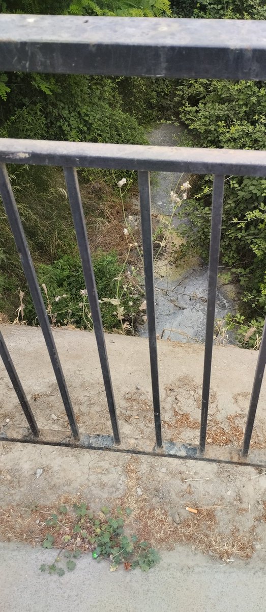 aetoga's tweet photo. Esta es la preocupación que tiene este consistorio por los vecinos de aljomaima. Con olor insoportable y ratas como gatos. Elecciones ya por favor. Estos vecinos si sabremos a quien votar. https://t.co/zxKB1LwAxP