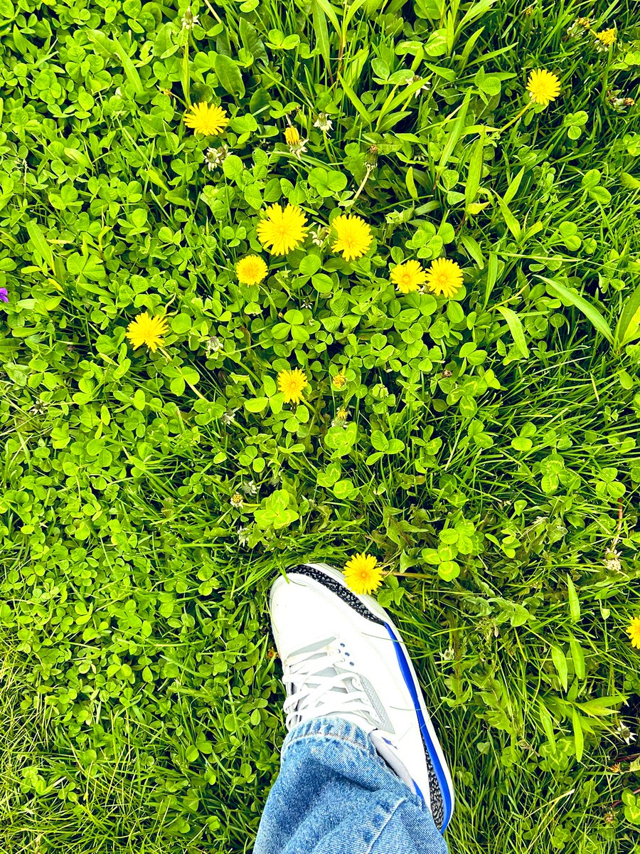 YoshiDXebec's tweet image. 🍀