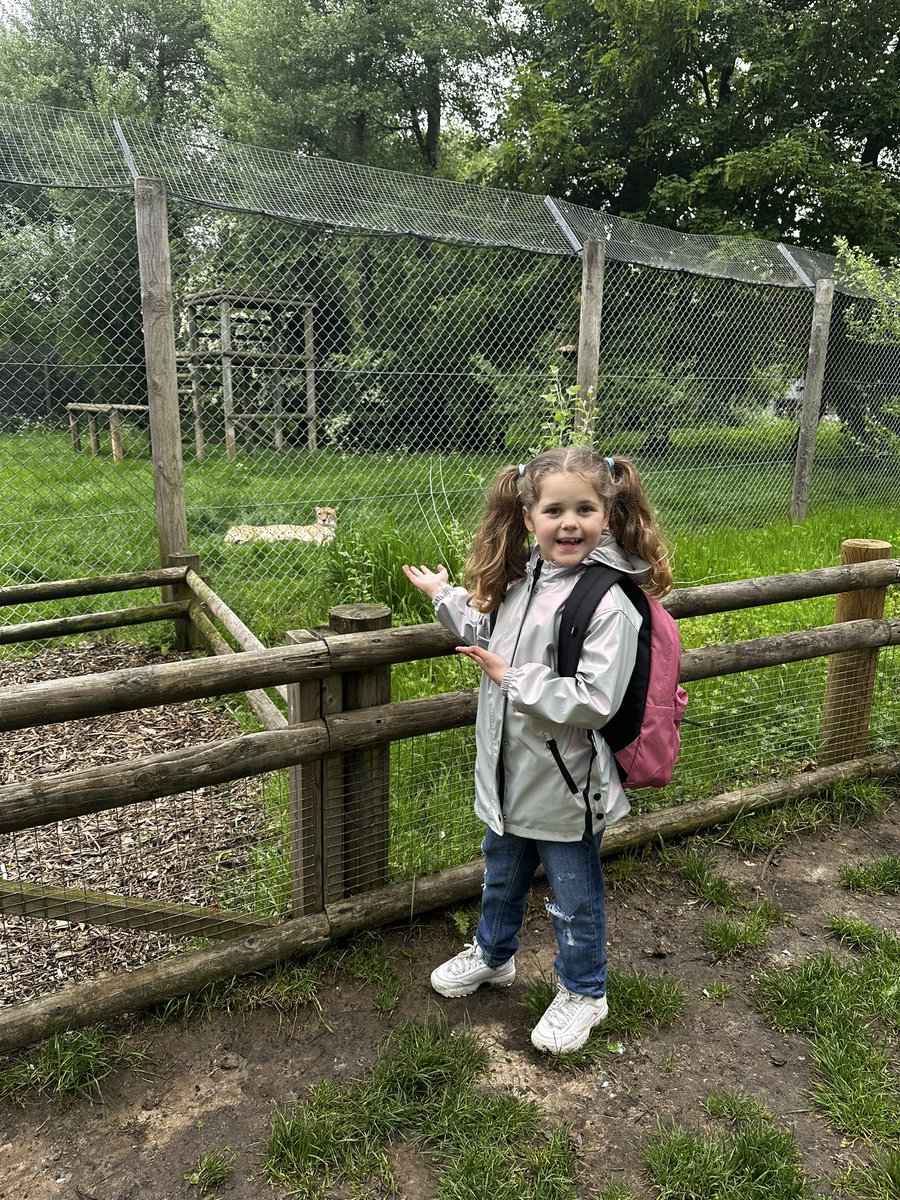 @Dahl_ClassHJS <a href="/AspireSuite/">Aspire Suite</a> @InspireSuite @MccourtMiss poppy’s getting her steps in at banham zoo 🐧🤩 and visiting the penguin we sponsor 🤩