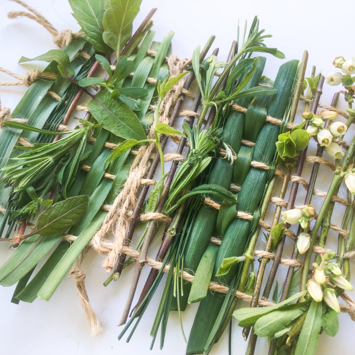 2 places currently available for online Wild Weaving mini-workshop, Monday 15th May, 7:30pm (UK time), via Zoom. Tickets by donation (£5+).  eventbrite.co.uk/e/naturecraft-…

#wildweaving #noticenature #naturecraft #onlineworkshop #zoomworkshop