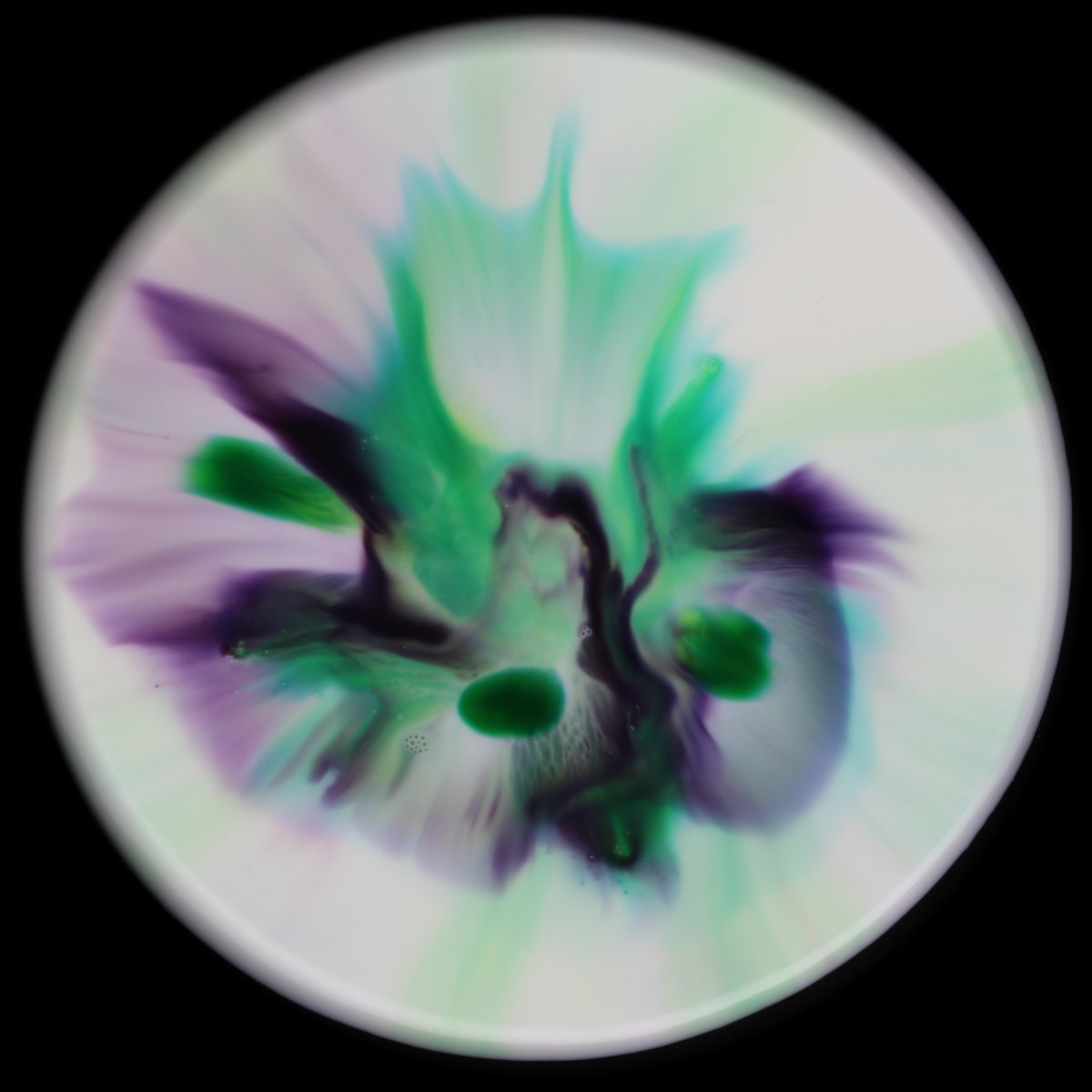 7 - A Study of Light - Robotic Art Generation #art #Robotics #magicmilk