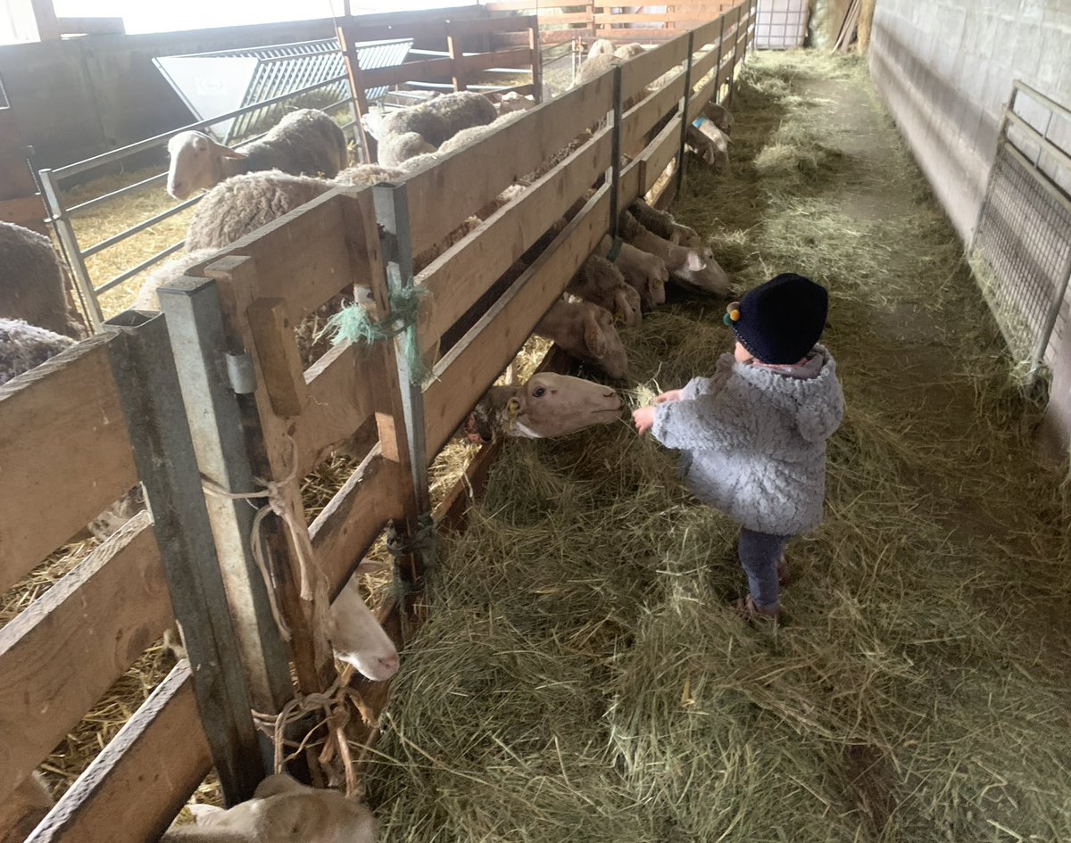 Rencontre à la ferme GAEC entre les gouttes @Visit_LaBresse @fdsea_vosges