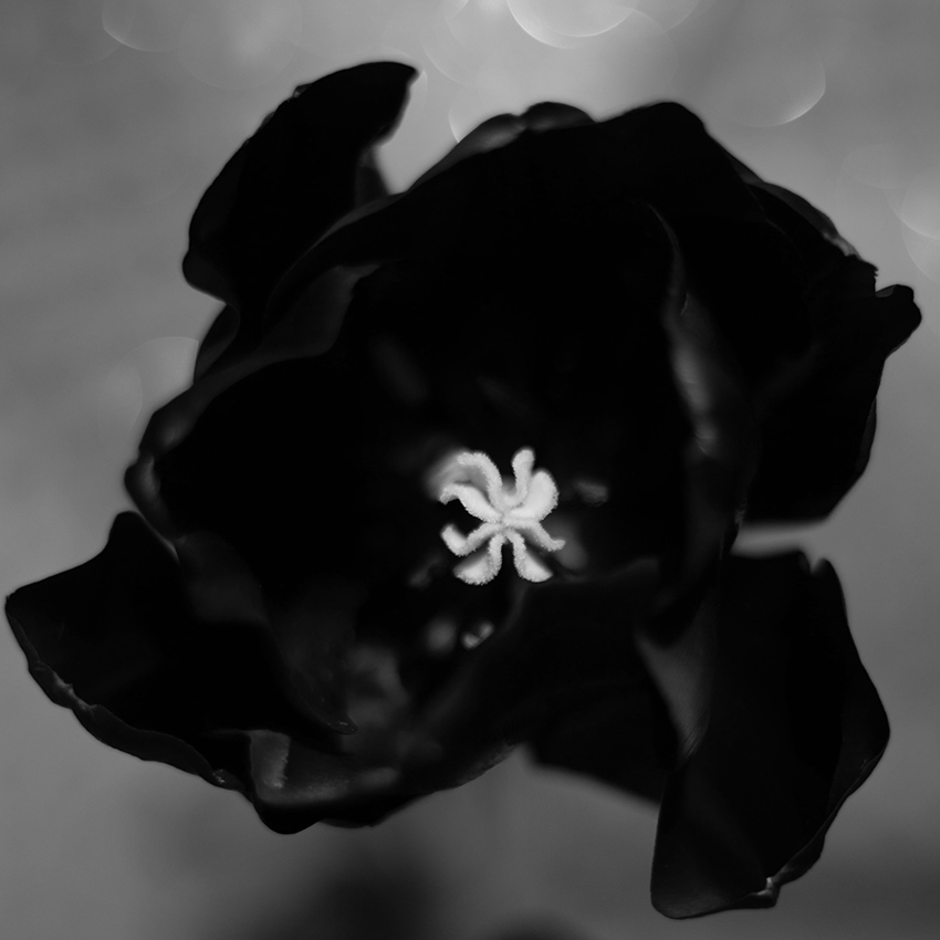 Diane Patrice (@dianepatrice) on Twitter photo 