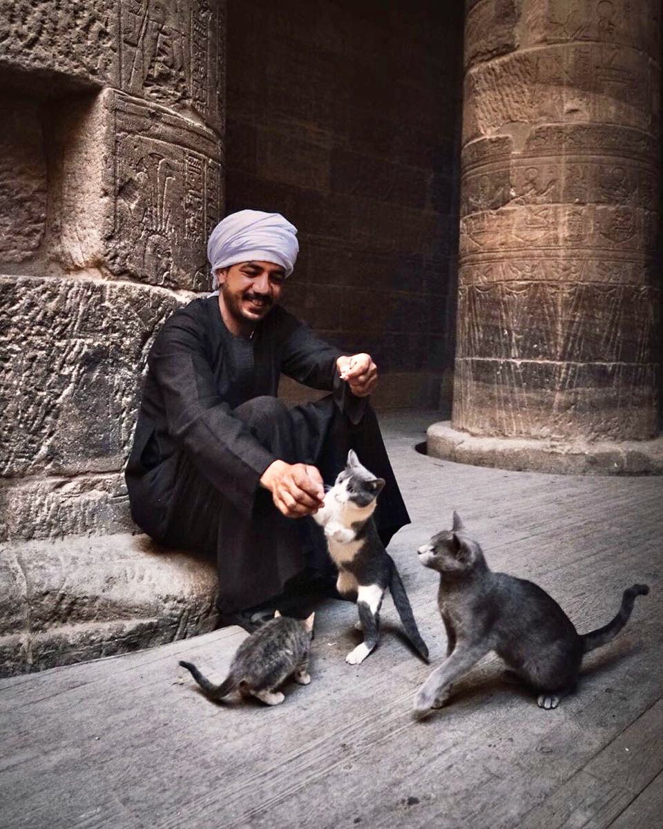 Happy #Caturday
Love from Cairo…