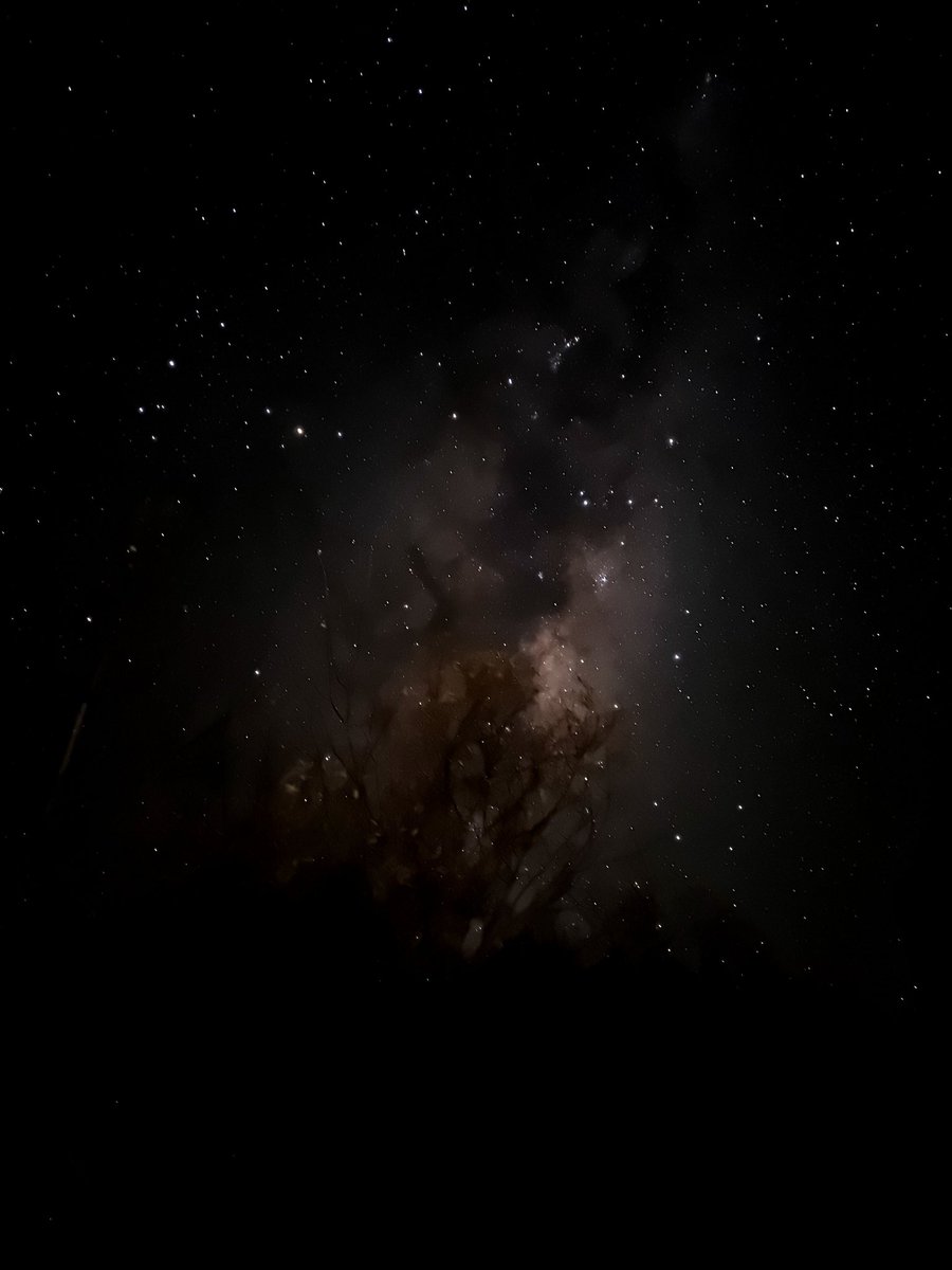 CharcoalBirb's tweet photo. More #SoPaws2023 night sky pics uwu #SoPaws https://t.co/IFzjewXhUf